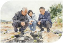 提案所提看法正在